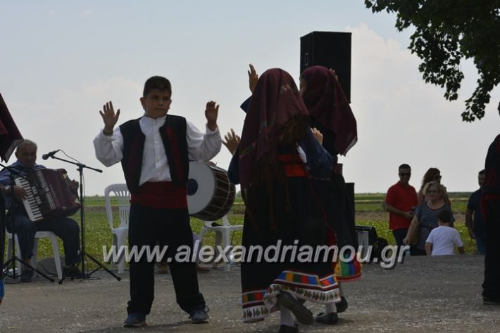 alexandriamou.gr_trikala28.5.2018212